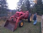 Wheel Tire Plant Vehicle Automotive tire